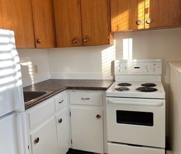 1 BDRM/1 BATH - 1314 COLLEGE DR - Available OCT 1ST - Photo 4