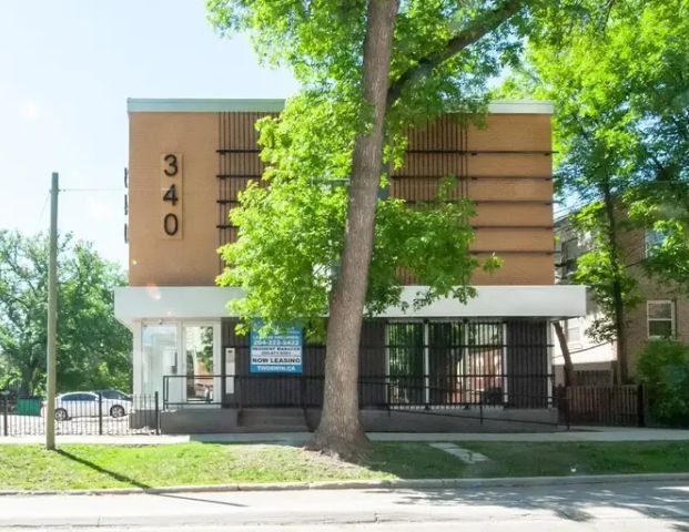 340 Assiniboine Avenue | 340 Assiniboine Avenue, Winnipeg - Photo 1