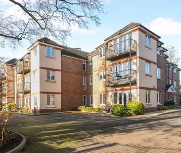 Meadrow, Godalming - 2 bedrooms Property for lettings - Seymours - Photo 5