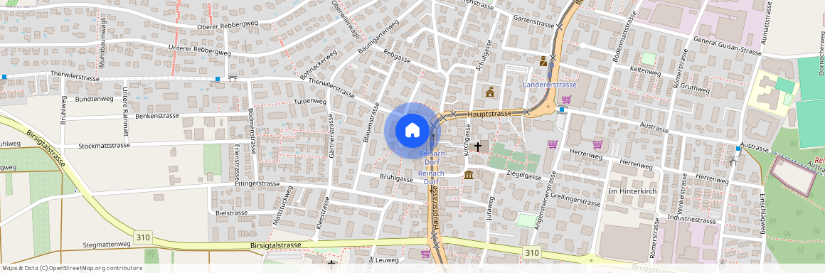 Hauptstrasse 36, 4153 Reinach BL