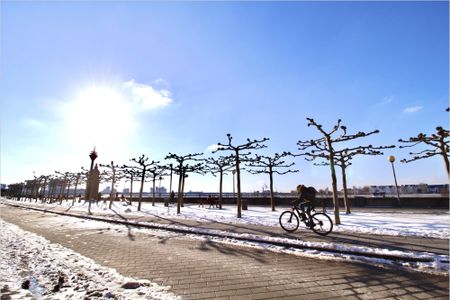 3 Zimmer in Düsseldorf - Photo 5