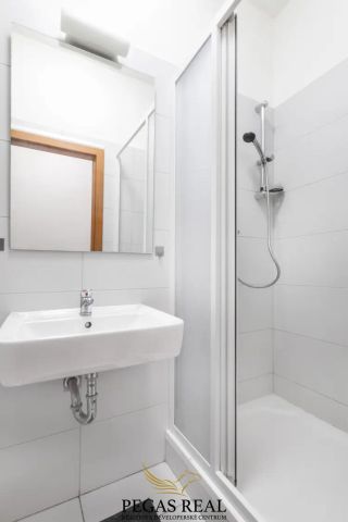 Pronájem bytu 1+1 v samotném centru města, 36 m - Fotografie 5