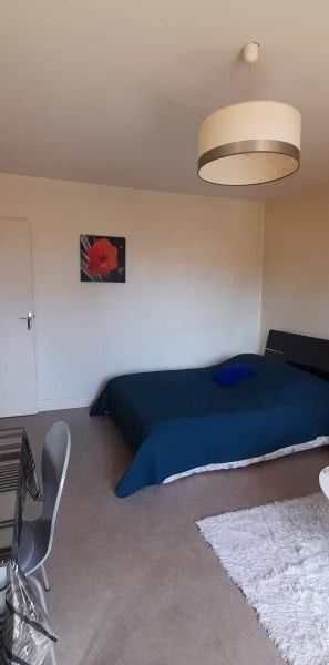 Location Appartement 1 pièce 29m² MACON 71000 - Photo 1