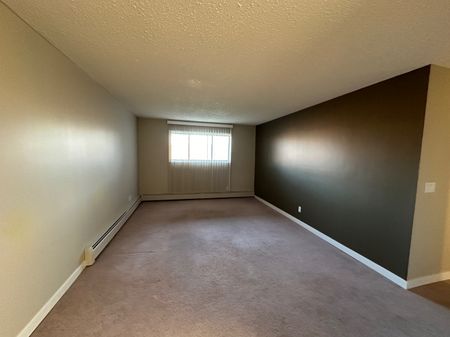 Spacious 2 Bedroom Cat Friendly Suite in Clearview! - Photo 2