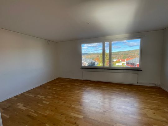 Storgatan, Sollefteå - Photo 1