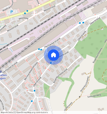 Bernhardswiesweg 2, 9014 St. Gallen