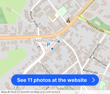 **Über den Baumwipfeln muss der Ausblick wohl traumhaft sein** - Photo 1