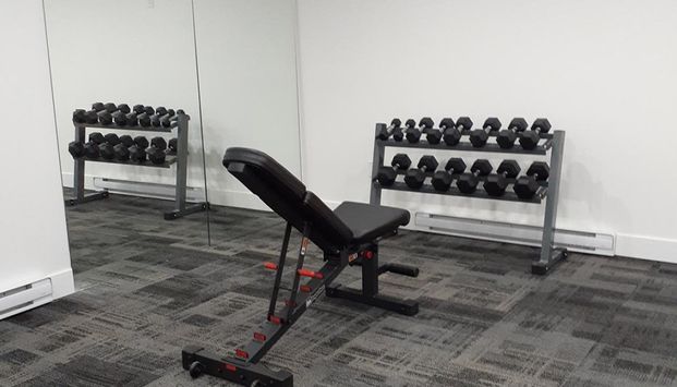 Forest Manor - Photo 1