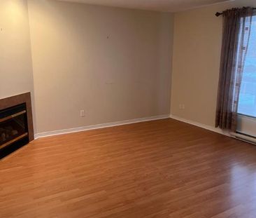 appât à louer - Photo 3