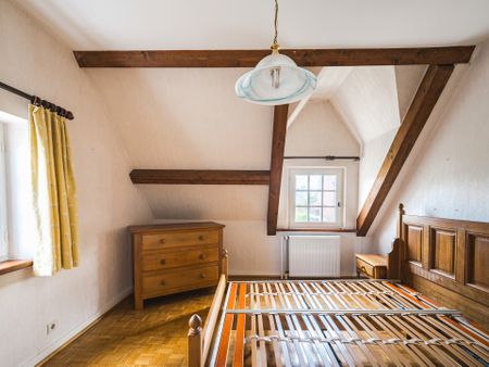 Sterrebeek, Vlaams-Brabant - Photo 5