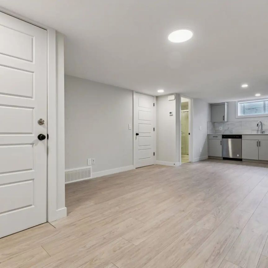Crystallina Nera Duplex — 1 Bedroom - Photo 1