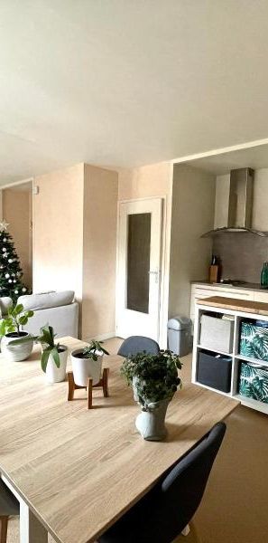 Location Appartement 2 pièces 42m² LAVAL 53000 - Photo 1