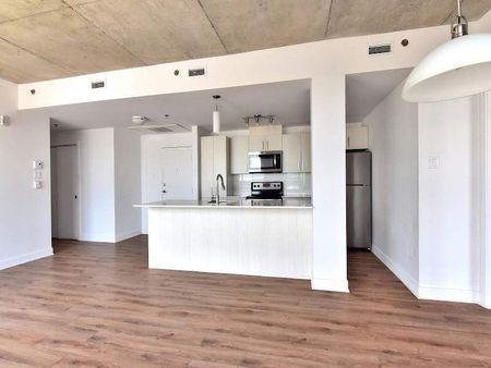 Carter on the Park-Condo style apartments - Photo 3