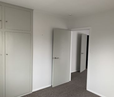 Merivale Unit Across The Road From Hagley Park - Photo 2