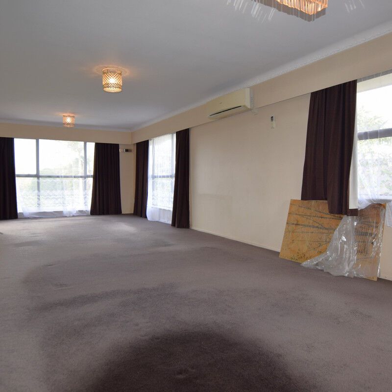 52 Tiroroa Avenue - Photo 1