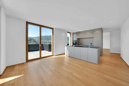 Kloterenstrasse 3c, 9435 Heerbrugg - Photo 2