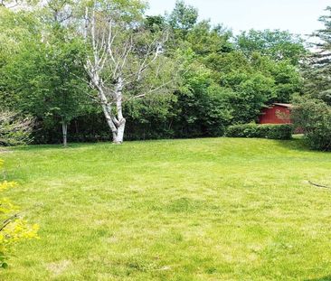 For Lease - 906 Walnut Street Unit# Basement, Whitby, Ontario - Photo 6