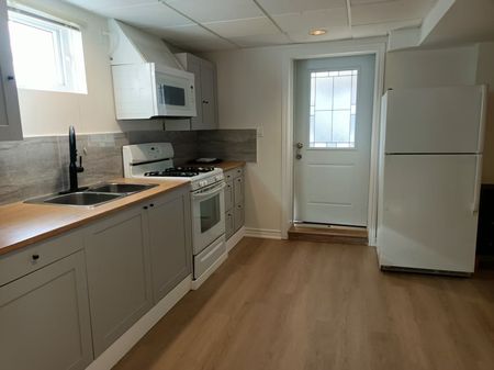 For Lease - 3 salt creek Avenue Unit# bsmt, Richmond Hill, Ontario - Photo 3