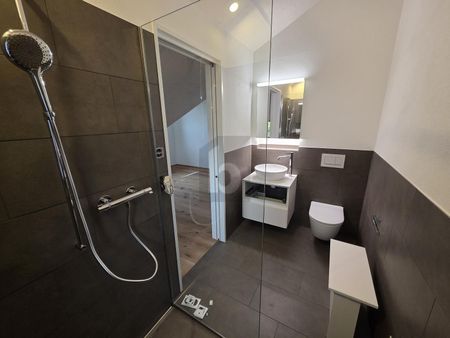 ERSTBEZUG: MODERN MIT WEITBLICK - Photo 5