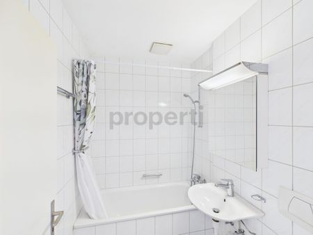 Charming & Central 2.5-Room Apartment in the Heart of Basel - Photo 3