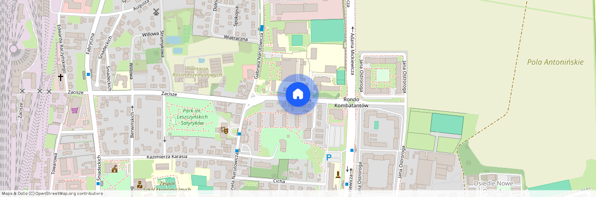 ul. Opalińskich, Leszno, wielkopolskie