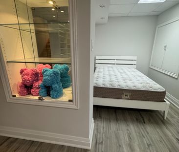 For Lease - 10 Megarry Court Unit# Bsmt, Richmond Hill, Ontario - Photo 2