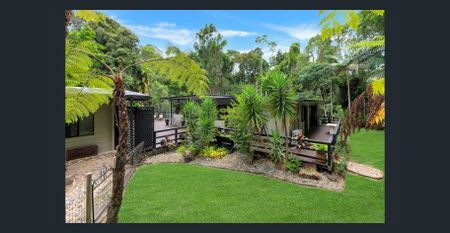 KURANDA RAINFOREST RETREAT - MOVE IN FOR CHRISTMAS - Photo 4