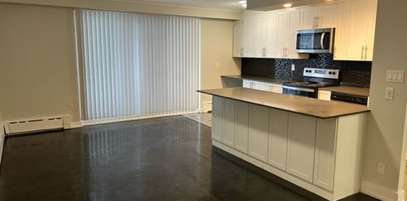 Shoreline Lakeview 1 Bedroom Unit Beautifully Renovated with balcony - Photo 2