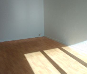 Location Appartement 1 pièce 30m² ORLEANS 45000 - Photo 3