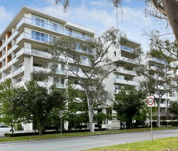 Modern 2-Bedroom Apartment in the Heart of Braddon - Photo 6