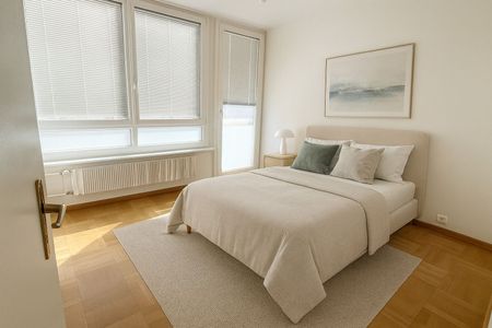 Moderne 5 pièces au cSur des Pâquis, Genève - Photo 3