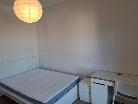 Via Jacopo Crescini, Padova, Veneto 35126 - Photo 4