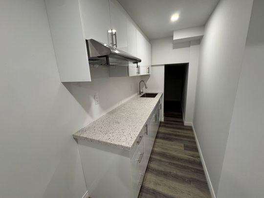 For Lease - 81 Mckernan Avenue Unit# Lower #1, Brantford, Ontario - Photo 1