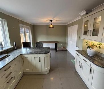 15 Ardfern Close, Downpatrick, BT30 6TY - Photo 5