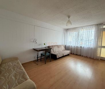 3 ustawne pokoje w super lokalizacji - Photo 3