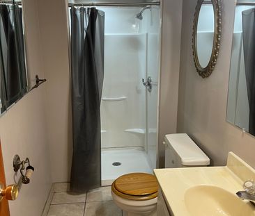 For Lease - 42 Lundy's Lane Unit# Basement, Newmarket, Ontario - Photo 3