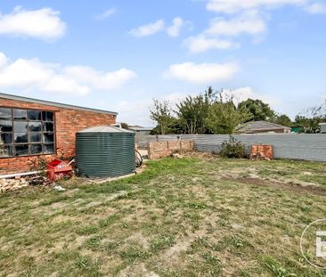 RECENTLY UPDATED THREE BEDROOM HOME WITH SHEDDING - Photo 5