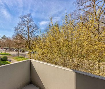 Ruhiges Wohnquartier in Riehen - Photo 2