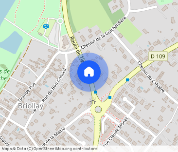 Location Appartement 1 pièce 33m² BRIOLLAY 49125 - Photo 1