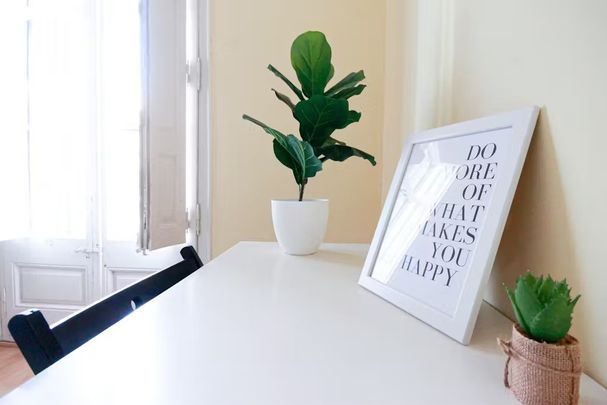 Carrer dAribau, Barcelona, Catalonia 08036 - Photo 1