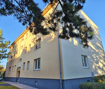 tolle 2 Zimmer Wohnung, extra Küche - Photo 1