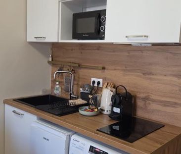Location Appartement 1 pièce Meublé 16m² NICE 06000 - Photo 6