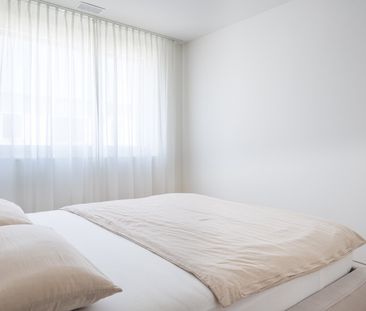 Exklusive möblierte Haushälfte mit Garten in Luzern - Photo 6