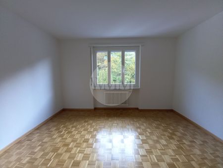 4 LOCALS IN STRATEGIC AREA IN LAMONE - Photo 4