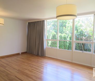 Hidden Gem - Photo 3