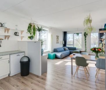 Kreekwaard - Photo 4