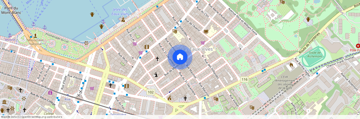 Rue de Montchoisy 19, 1207 Geneva