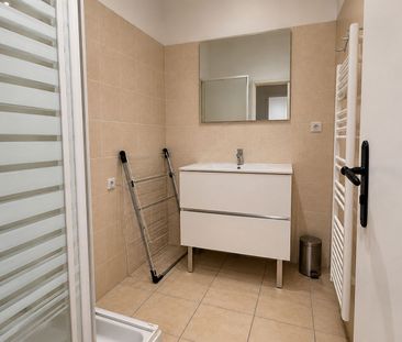 Location Appartement 1 pièce 28m² - Photo 6