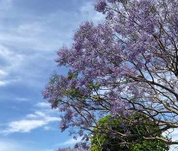 Alexandria - Photo 4