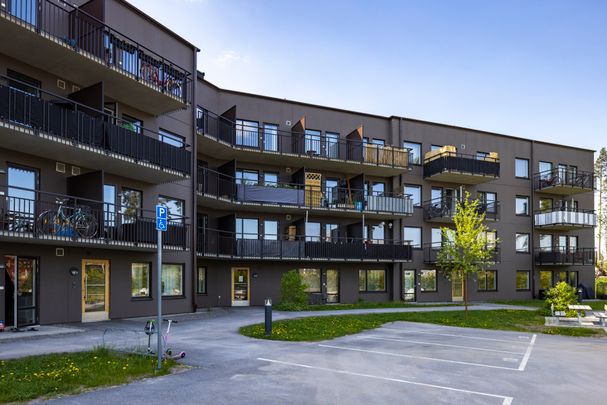 Meteorvägen, Storvreta - Foto 1